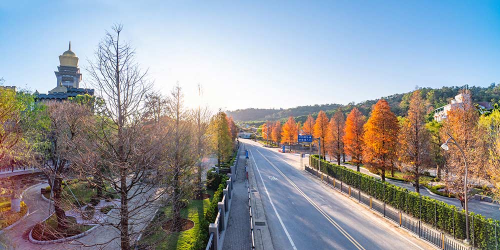 Youshan Pedestrian Bridge-9