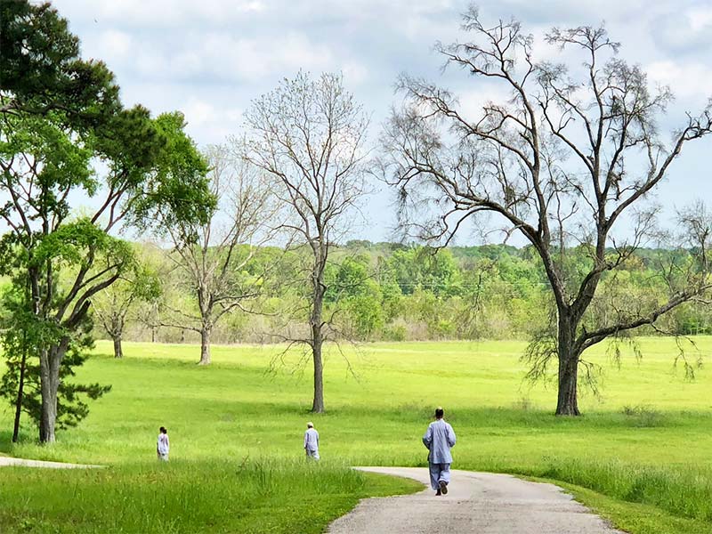 One-Day Meditation Retreat at Texas Pagoda Chan Monastery